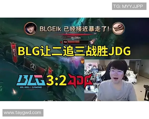 赛后分析:BLG与JDG在团队协作中的优势与不足探讨
